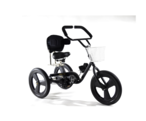 Triciclo MANX II Ergotec