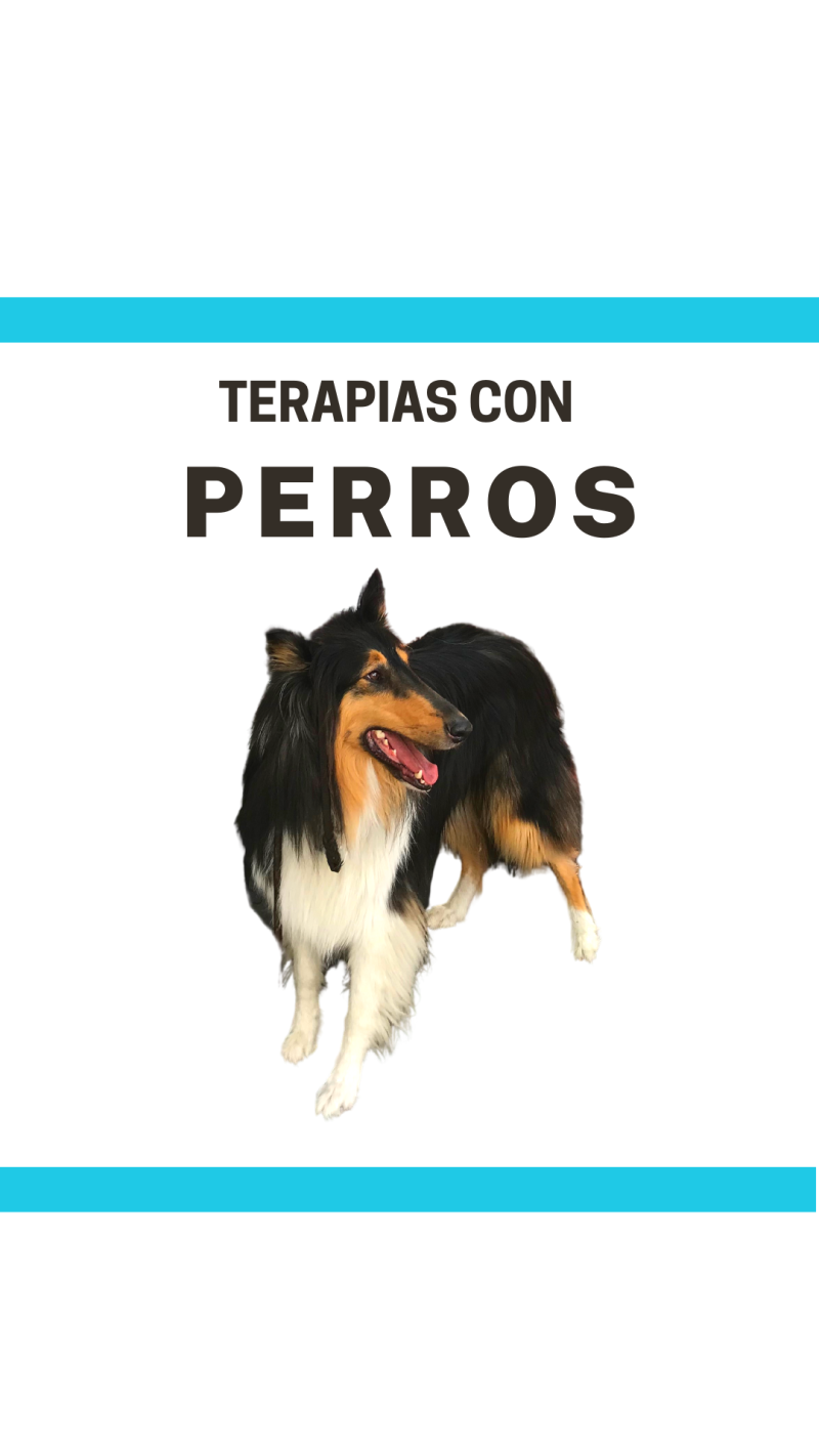 Terapia asistida con animales